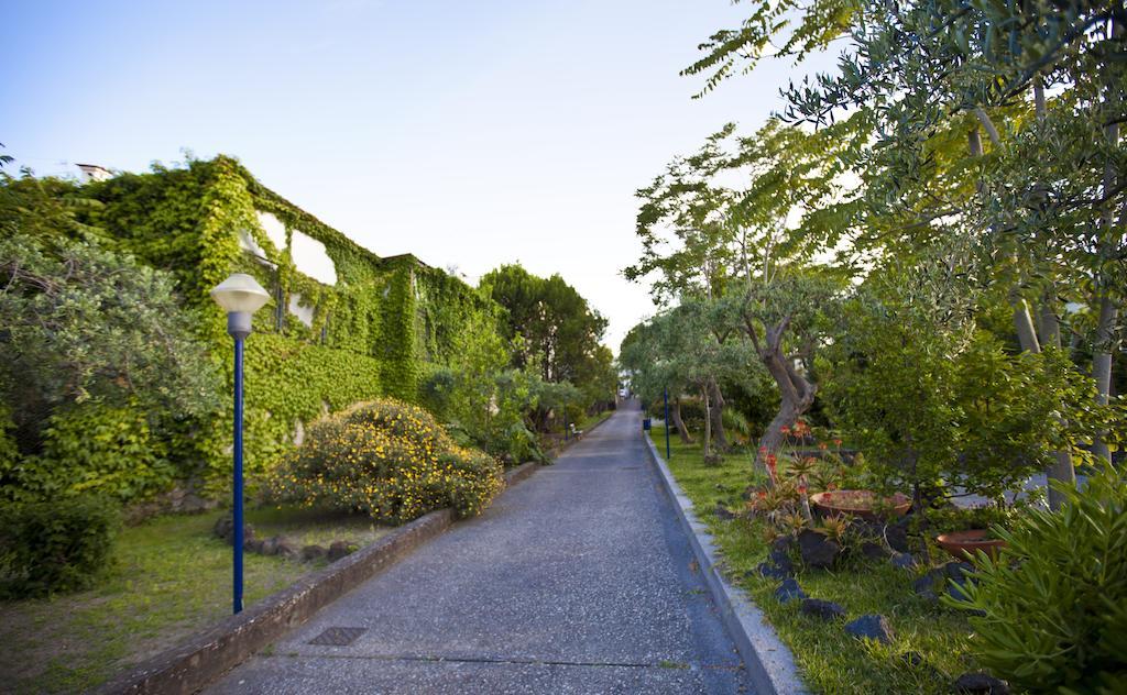 Hotel Terme Alexander Ischia Buitenkant foto